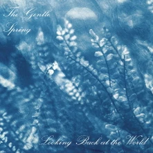 Gentle Spring, Vinyl LOOKING BACK AT THE WORLD