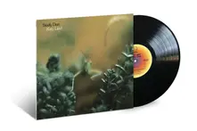 Vinyl Katy Lied