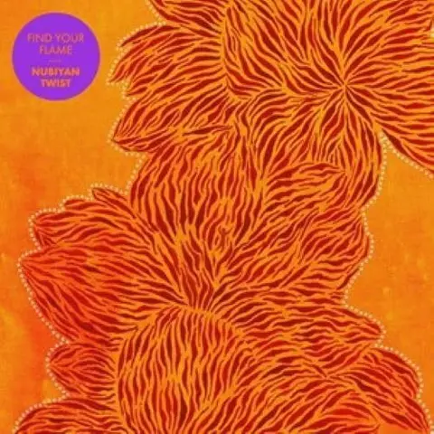 Nubiyan Twist – Vinyl FIND YOUR FLAME