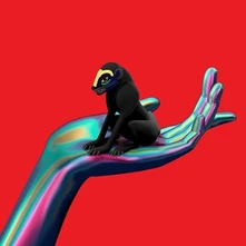 SBTRKT, CD WONDER WHERE WE LAND