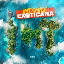 IMT Smile, Vinyl Exoticana