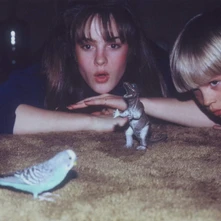 Big Thief, Vinyl MASTERPIECE