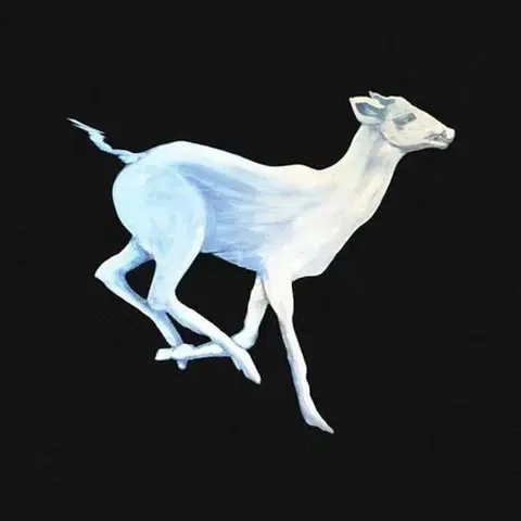 GIFT HORSE