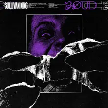 Vinyl LOUD