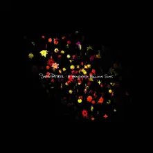 Vinyl A HUNDRED MILLION SUNS