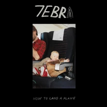 CD HOW TO LAND A PLANE