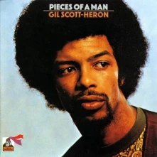 Vinyl Pieces Of A Man