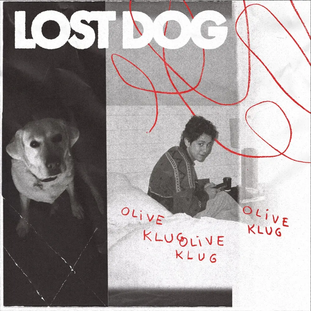 LOST DOG