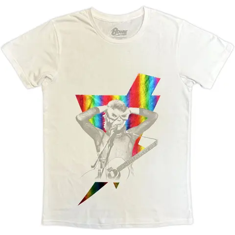 Holographic Bolt