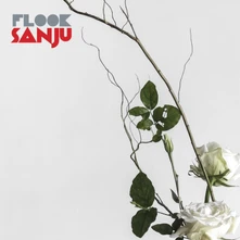 CD SANJU