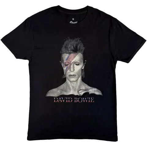 Aladdin Sane