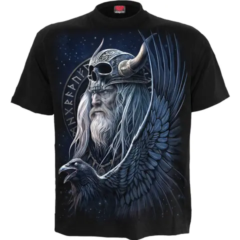 Odin's Warrior