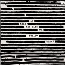 Vinyl Is This The Life We Really Wan