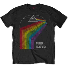 Dark Side of the Moon 1972 Tour thumbnail