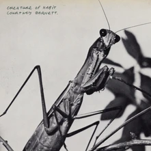 Courtney Barnett, CD CREATURE OF HABIT
