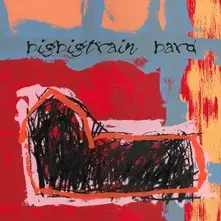 Big Big Train, Vinyl BARD