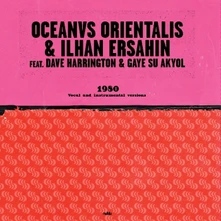 İlhan Erşahin, Vinyl 1980