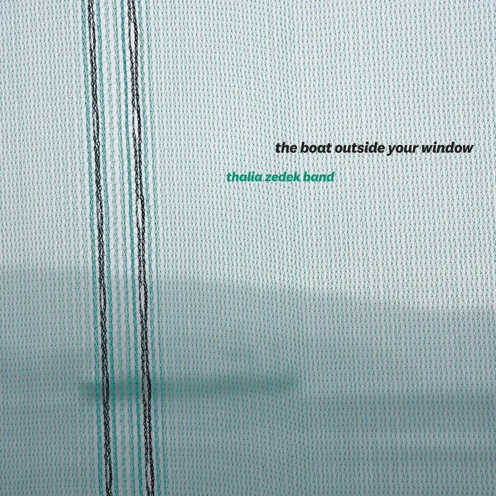 BAND- - THE BOAT OUTSIDE YOUR WINDOW
