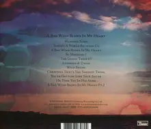 Bill Ryder-Jones – JONES, BILL - BAD WIND BLOWS IN MY HEART (CD)