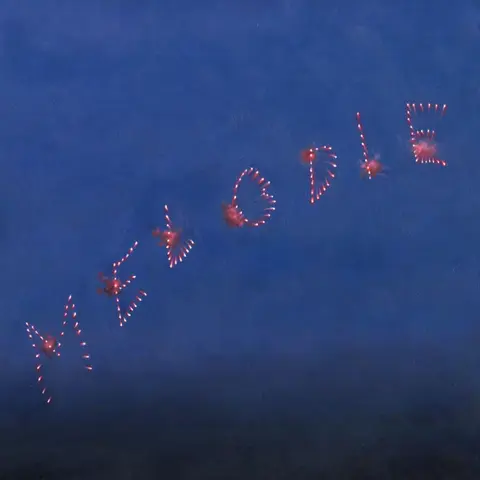MELODIE