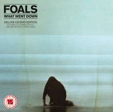CD WHAT WENT DOWN (CD+DVD)