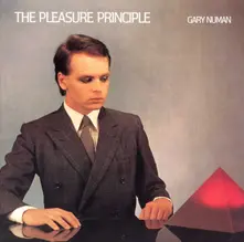 CD PLEASURE PRINCIPLES