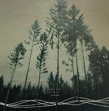 Wouter Dewit, Vinyl HOLD