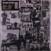 The Wave Pictures, Vinyl GAINED/LOST