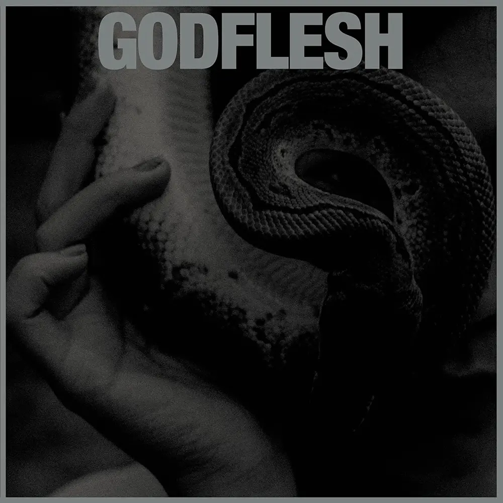GODFLESH - PURGE