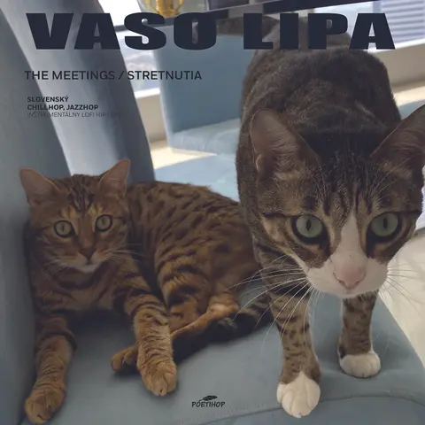 The Meetings/ Stretnutia