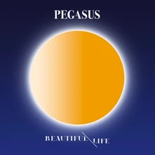 CD Beautiful Life