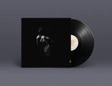 Vinyl LIGHT OF DAY