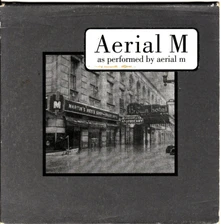 Vinyl AERIAL M