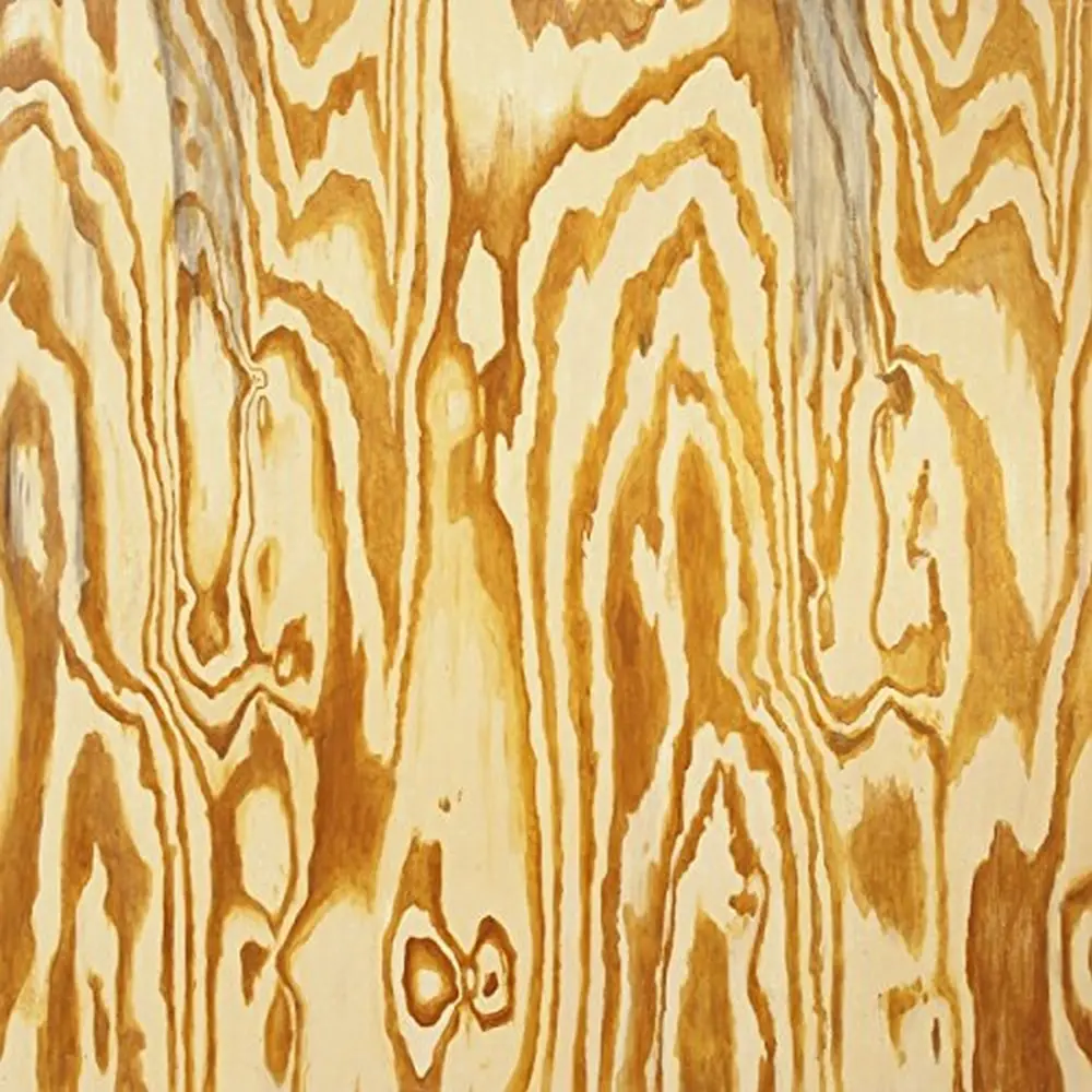 MAZES - WOODEN AQUARIUM