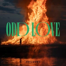 Coilguns, Vinyl ODD LOVE