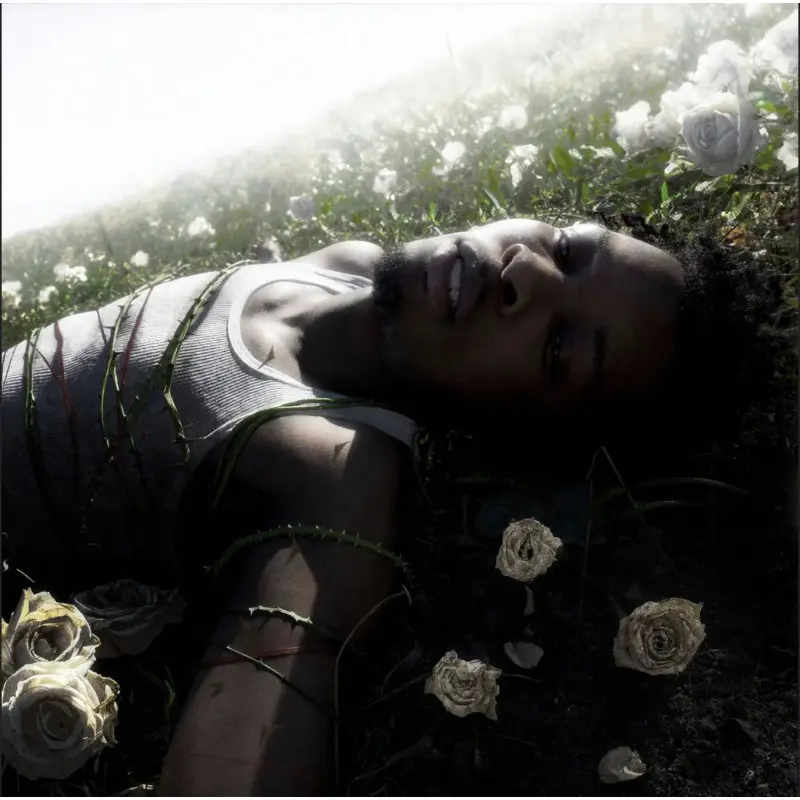 d4vd – WITHERED (Limited) (Vinyl)