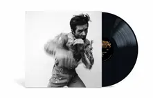 Brandon Flowers, Vinyl THRASHER