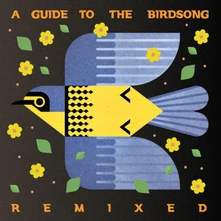 Vinyl A GUIDE TO THE BIRDSONG REMIXED
