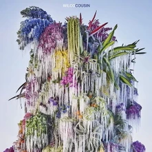 Wilco, CD Cousin
