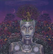 Erykah Badu, Vinyl NEW AMERYKAH PRT.2