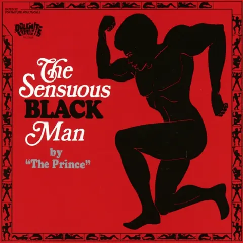 The Sensuous Black Man By "The Prince"