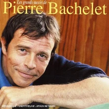 Pierre Bachelet, CD Les Plus Grands Succès De Pierre Bachelet