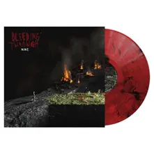 Bleeding Through, Vinyl NINE