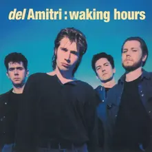 Vinyl WAKING HOURS