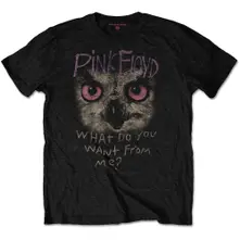 Owl - WDYWFM?
