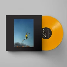 Yeah Yeah Yeahs, Vinyl COOL IT DOWN