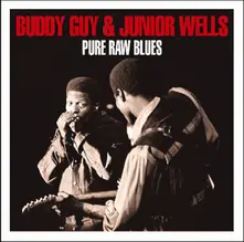 CD PURE RAW BLUES