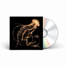 Royal Blood, CD BACK TO THE WATER BELOW