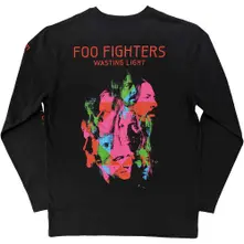 Wasting Light thumbnail