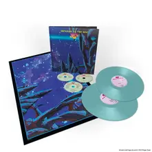 Vinyl Mirror To the Sky
